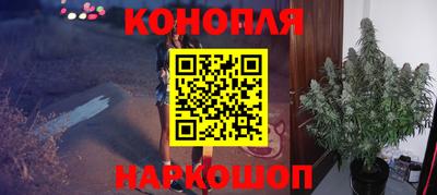 стафф Партизанск